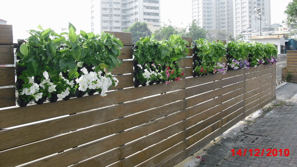 景觀工程11花anigif