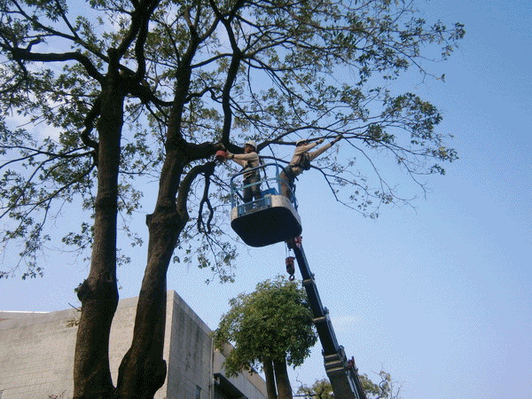 景觀工程35公園國小Aanigif