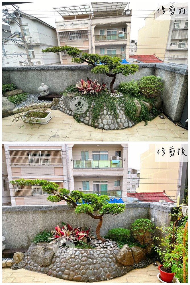 台中潭子露台-維護