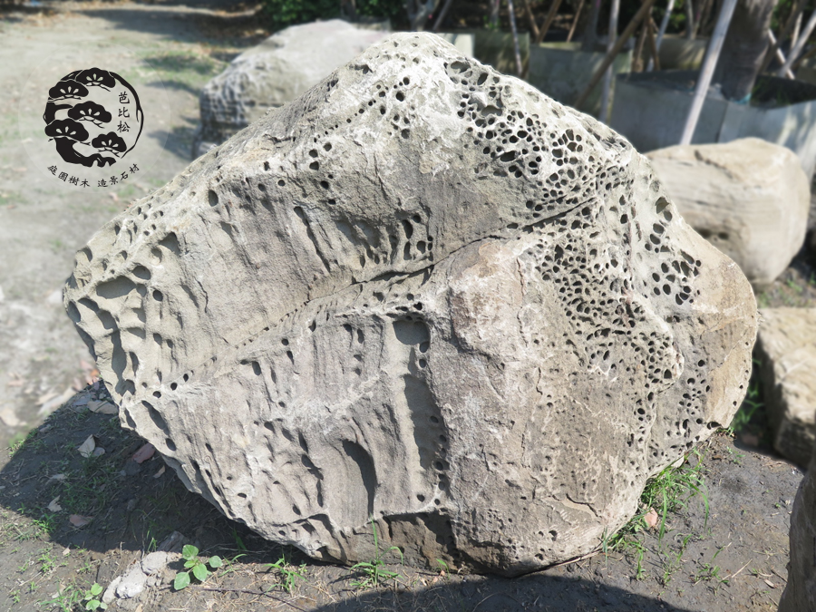 蜂巢石(A15)