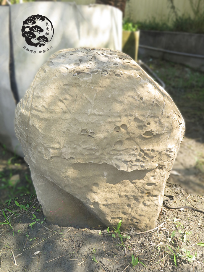 蜂巢石&nbsp;(A20)