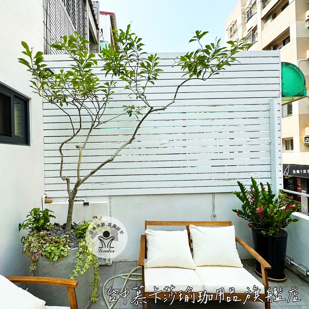 台中慕卡莎瑜珈用品旗艦店-4