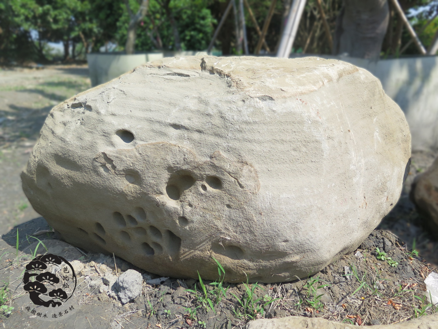 蜂巢石(A14)