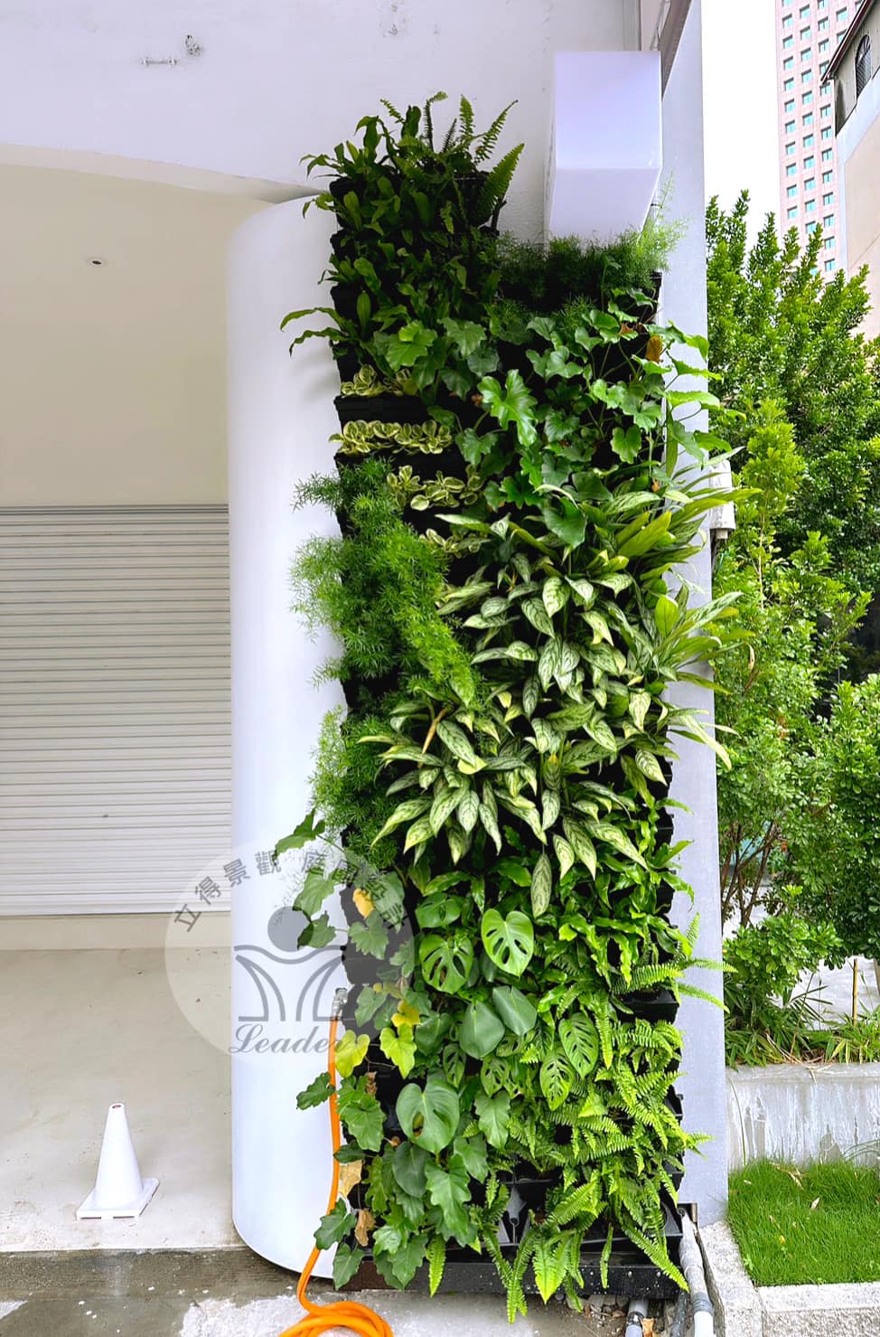 台中-植生牆-藝廊3