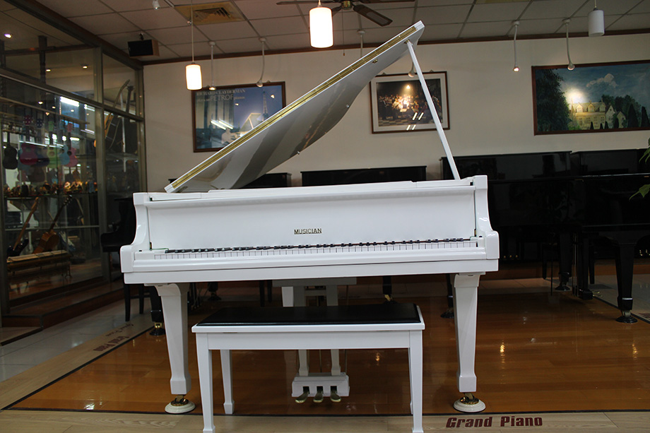 白色平台Musician-04