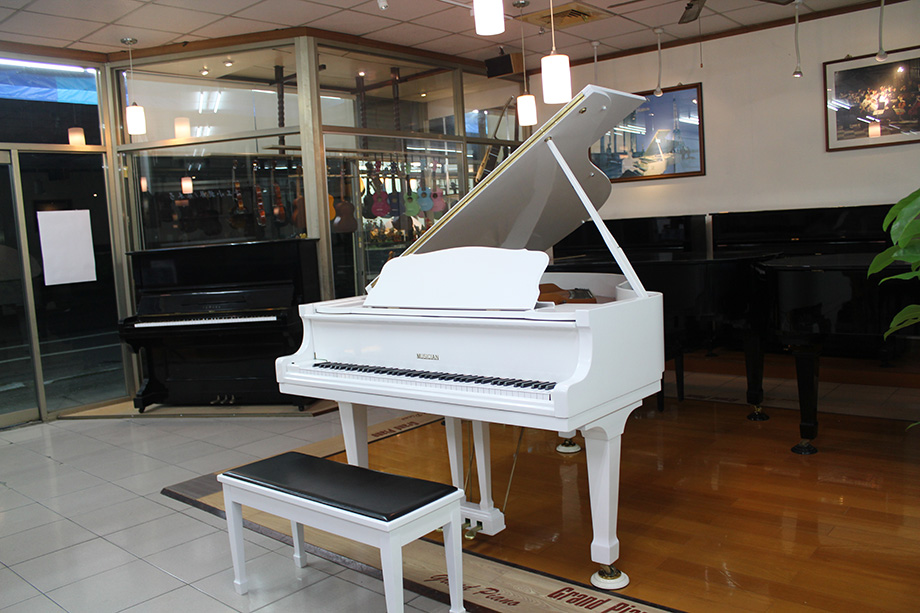 白色平台Musician-06