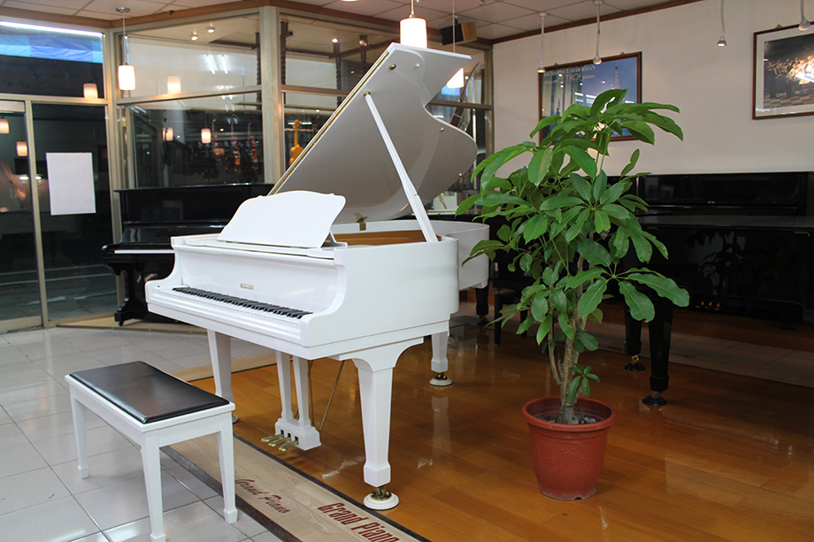 白色平台Musician-07