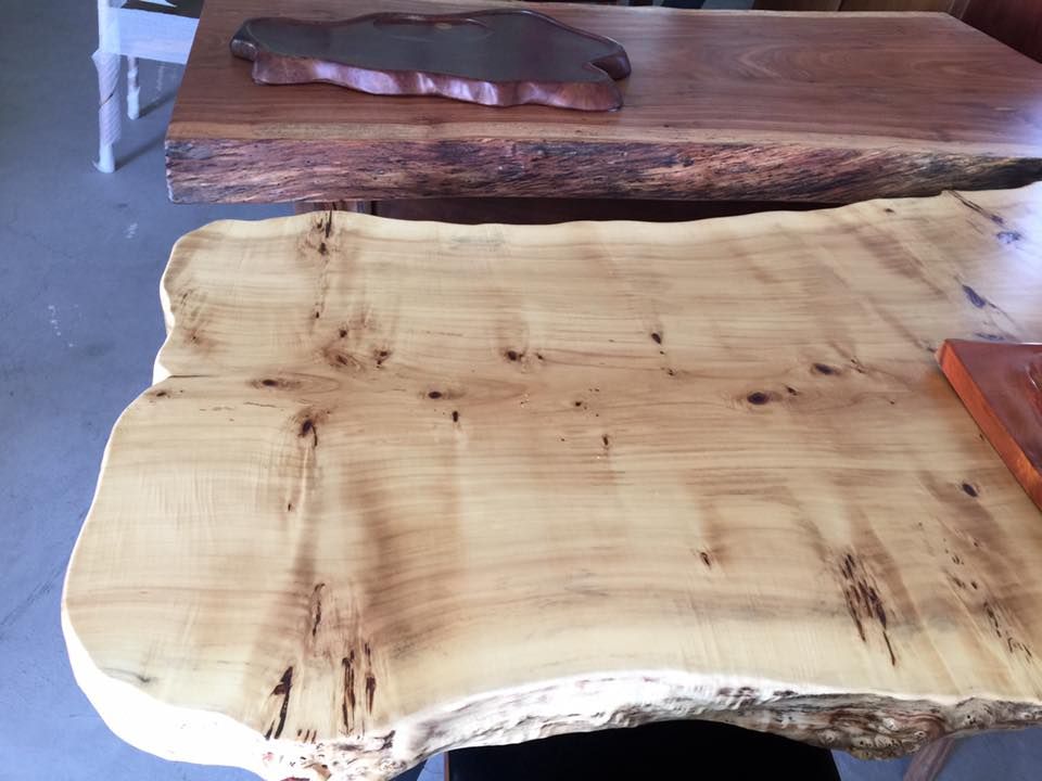 馬柏樹瘤桌板