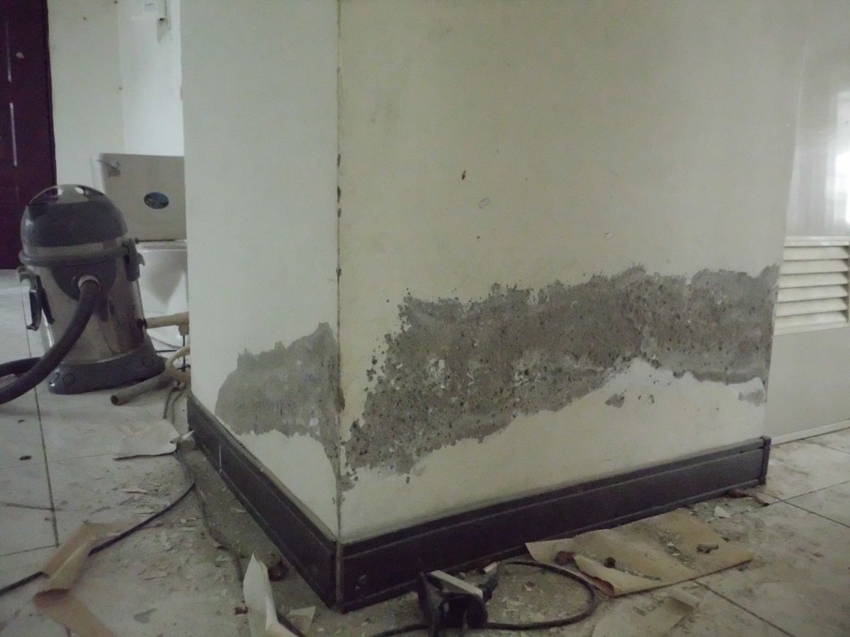 舊屋翻修整新-壁癌抓漏處理中