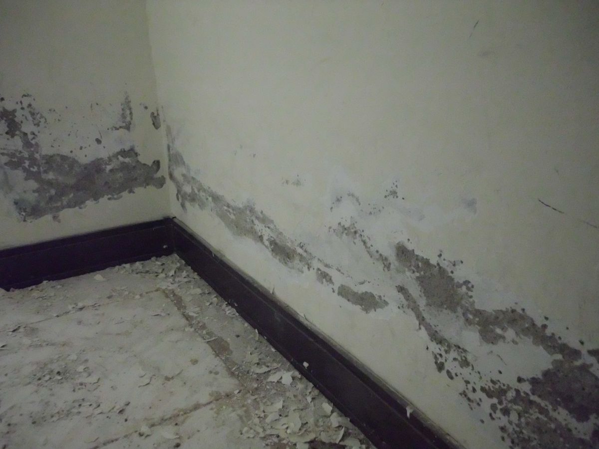 舊屋翻修整新-壁癌抓漏處理