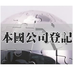本國公司登記