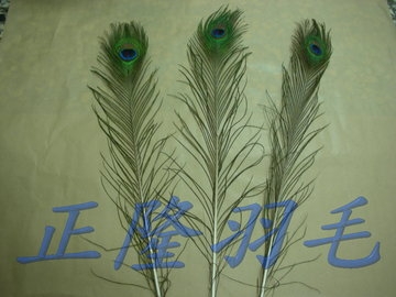 正隆羽毛工廠-百貨購物