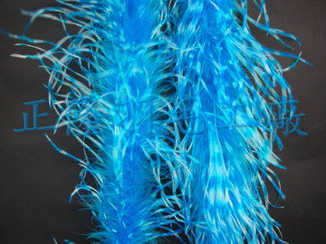 雪花羽毛帶(籃)