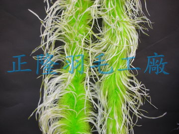 雪花羽毛帶(淺綠)