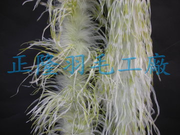 雪花羽毛帶(白+綠)