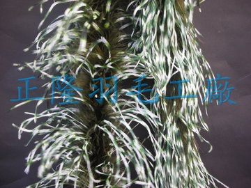 雪花羽毛帶(墨綠)