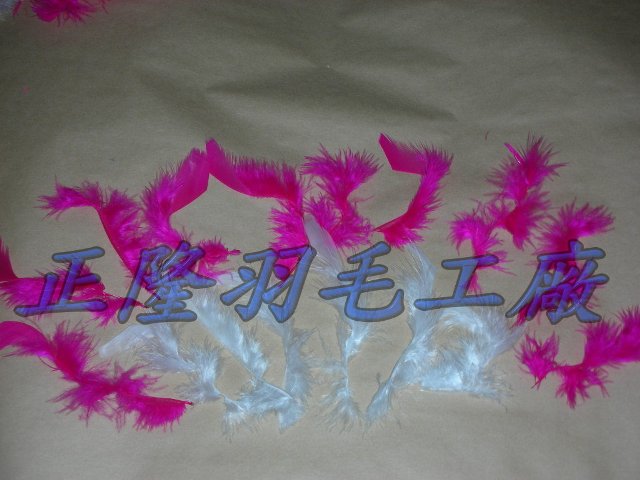 撕邊羽毛(羽毛海)