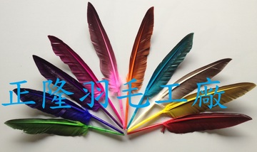 黑天鵝大圓翅(羽毛筆~孔明扇~羽毛扇)