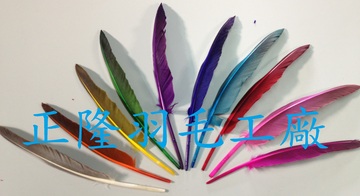 黑天鵝鳥壳有腰