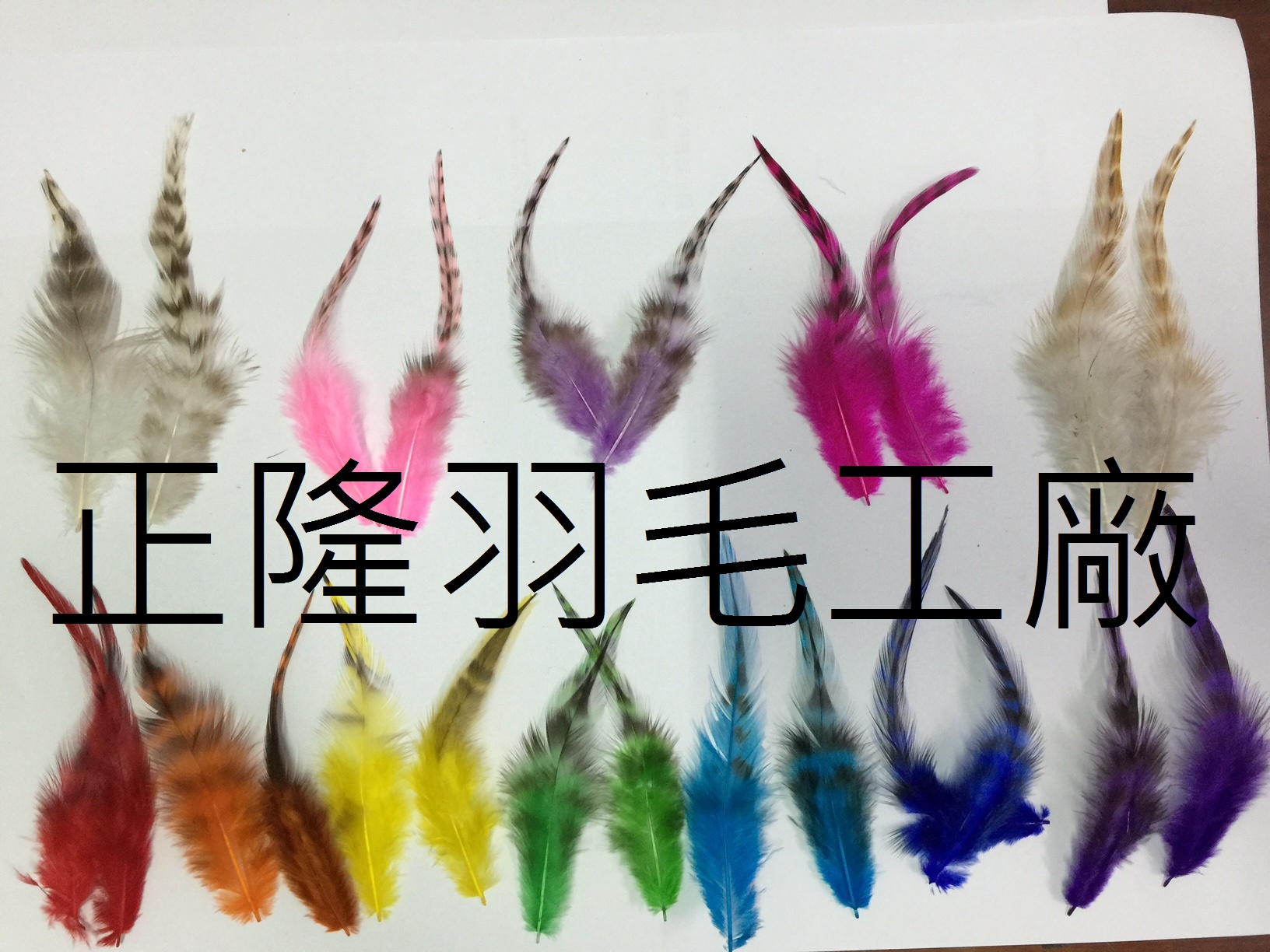 印第安羽毛(健子羽毛)