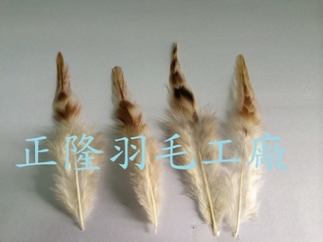 印第安羽毛(原色紅)