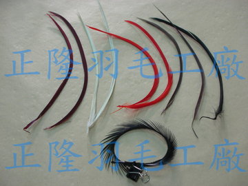 天鵝撕邊毛(魚鉤綁毛)