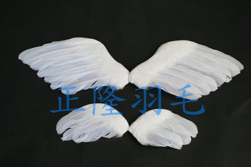 天使羽毛