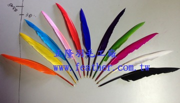 羽毛筆~英美式羽毛筆