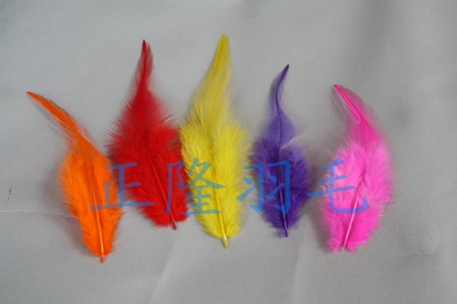 雞毛(毽子羽毛)_小