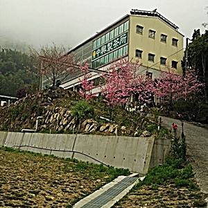 中興製茶所(廠)