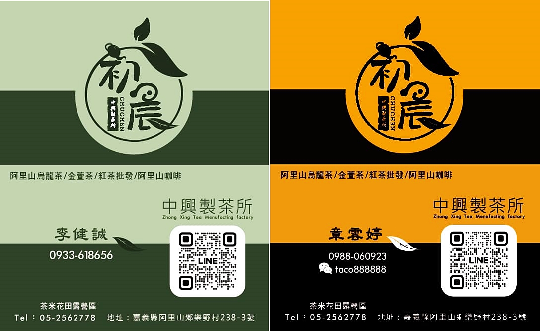 初晨阿里山高山茶