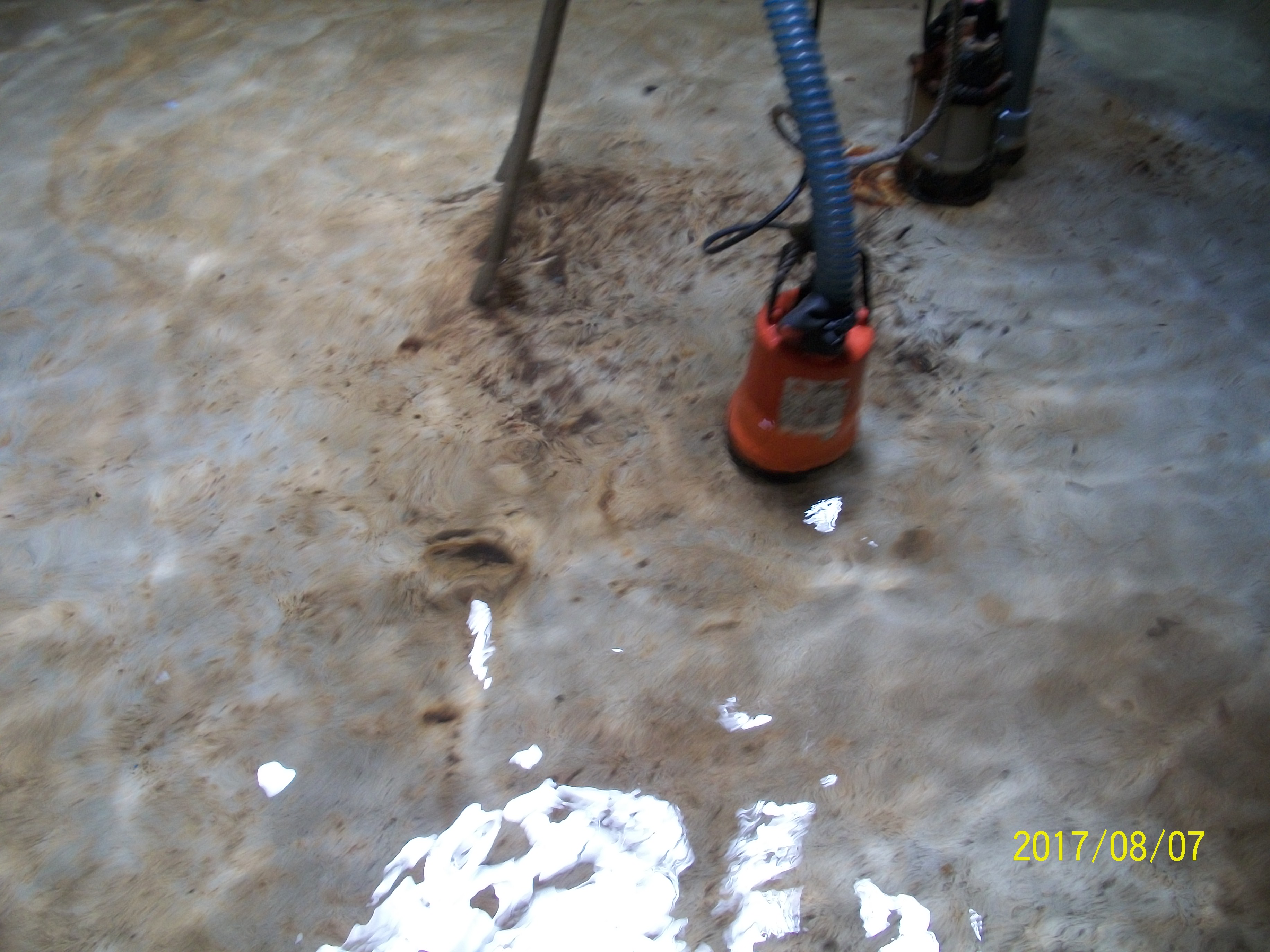 嘉義專業抽水肥