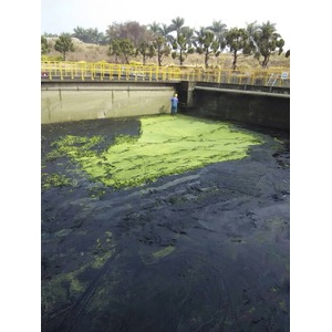 清污水池.清水溝