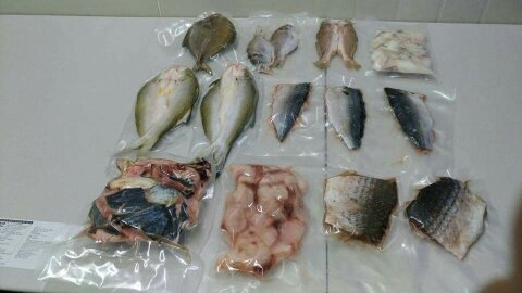 合興安海洋事業有限公司-undefined