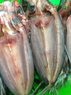 合興安海洋事業有限公司-undefined