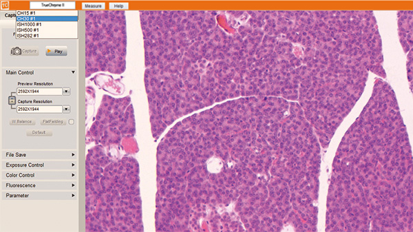 ISCapture(TCapture)相機控制