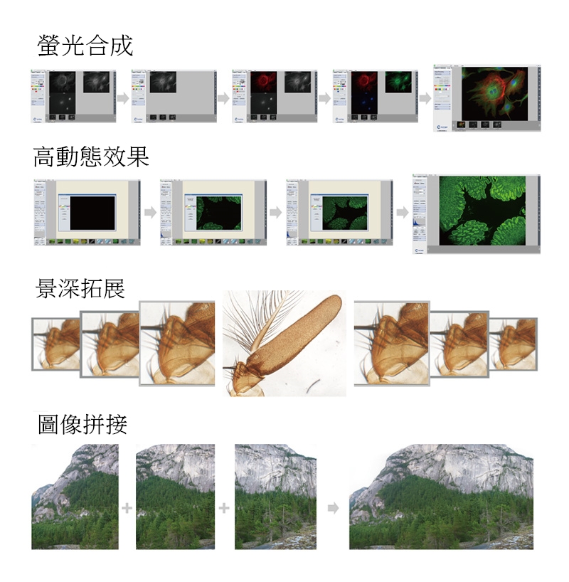 ISCapture(TCapture)圖像處理