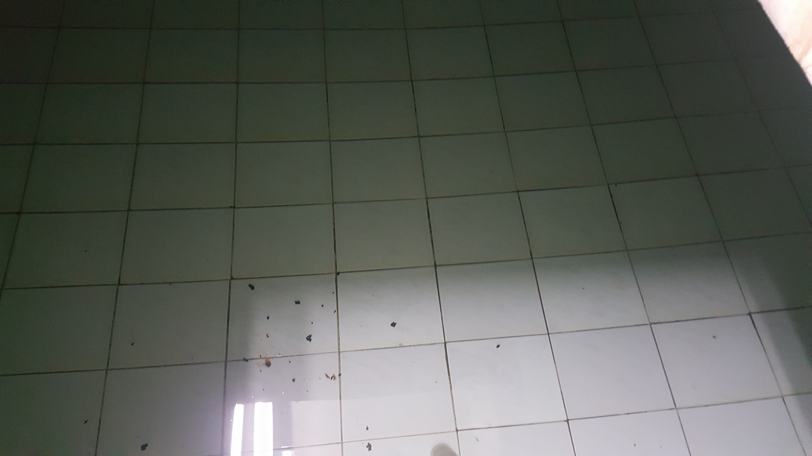 大樓水塔清洗中&nbsp;