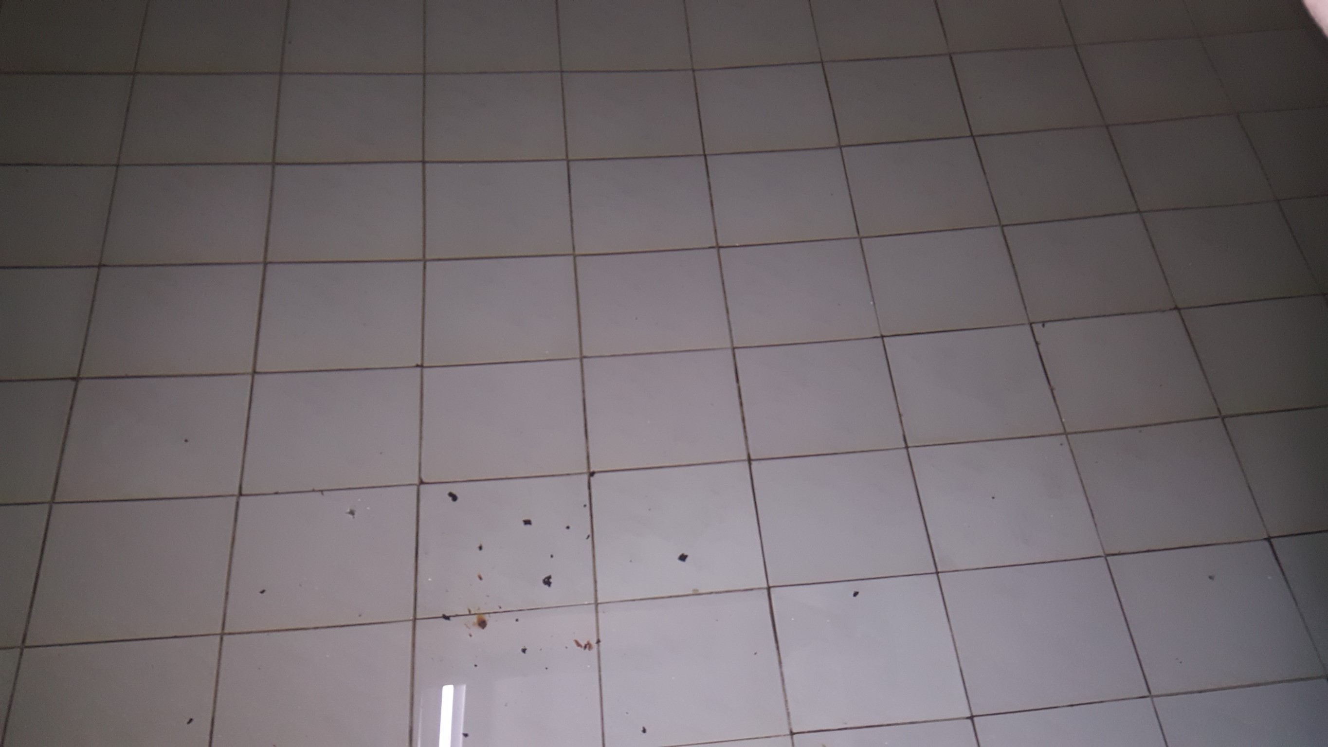 大樓水塔清洗中