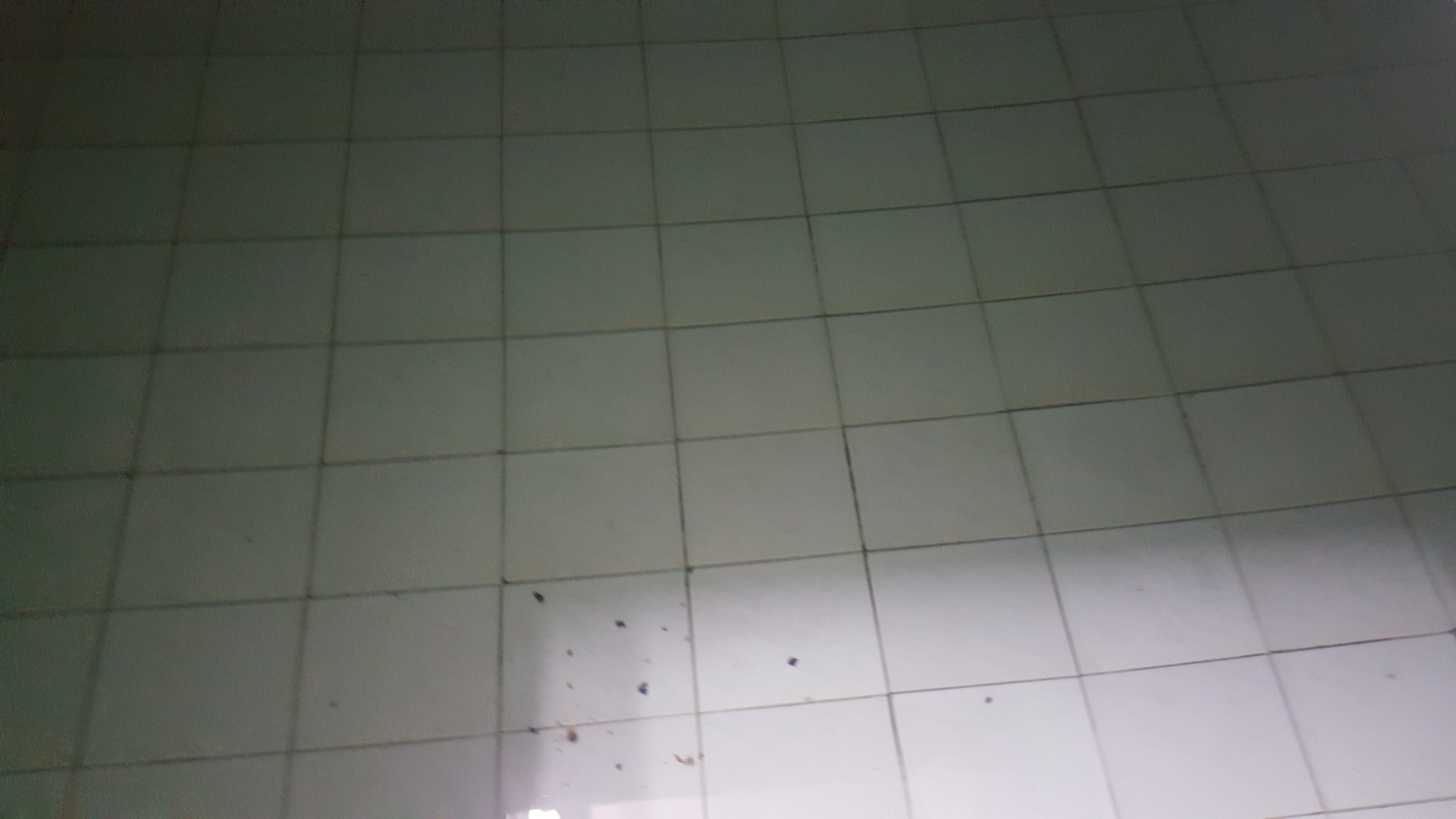 大樓水塔清洗中&nbsp;