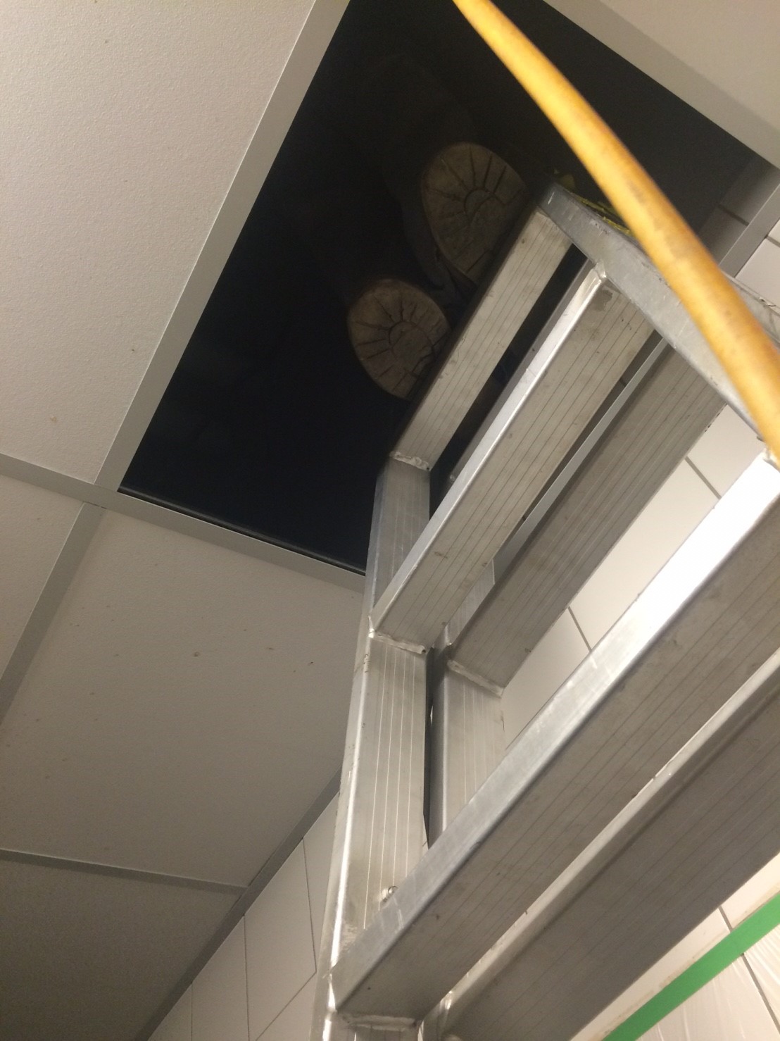 1050827南紡夢時代藍屋