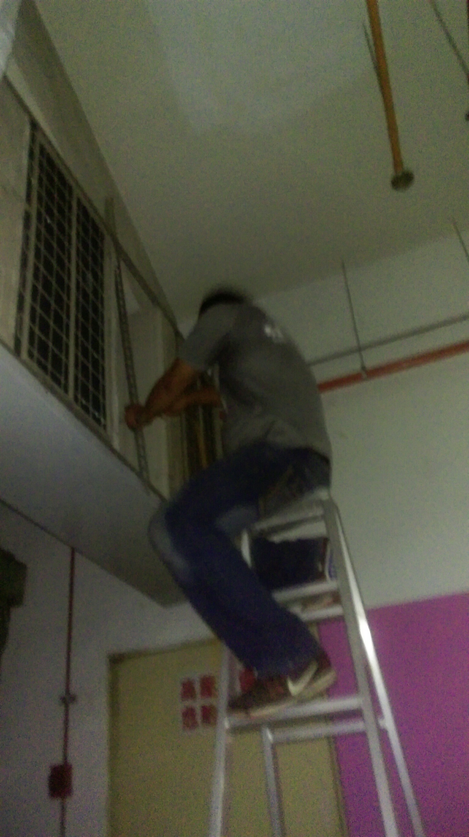 丸龜製麵三多店