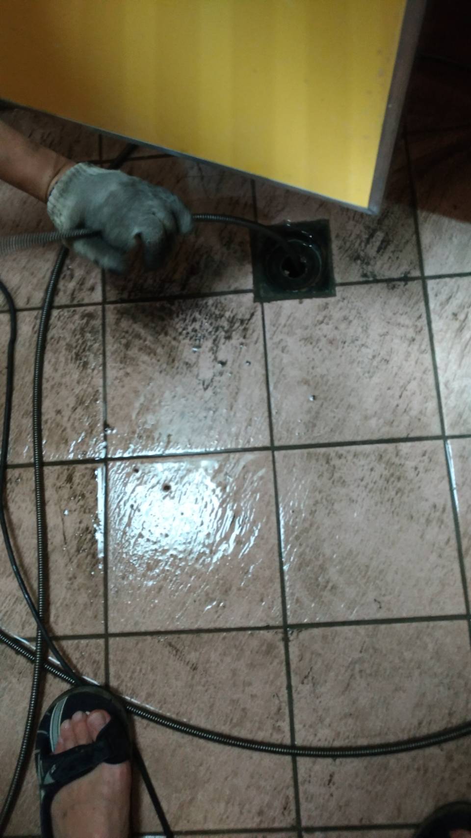 廁所排水管阻塞倒灌水