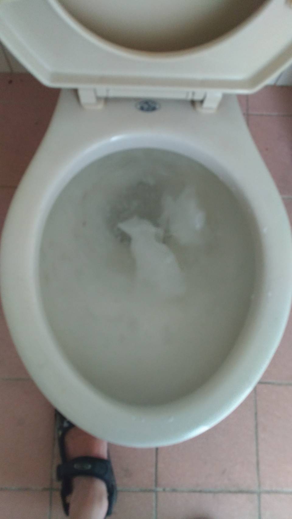 完成工作,馬桶可順利沖水