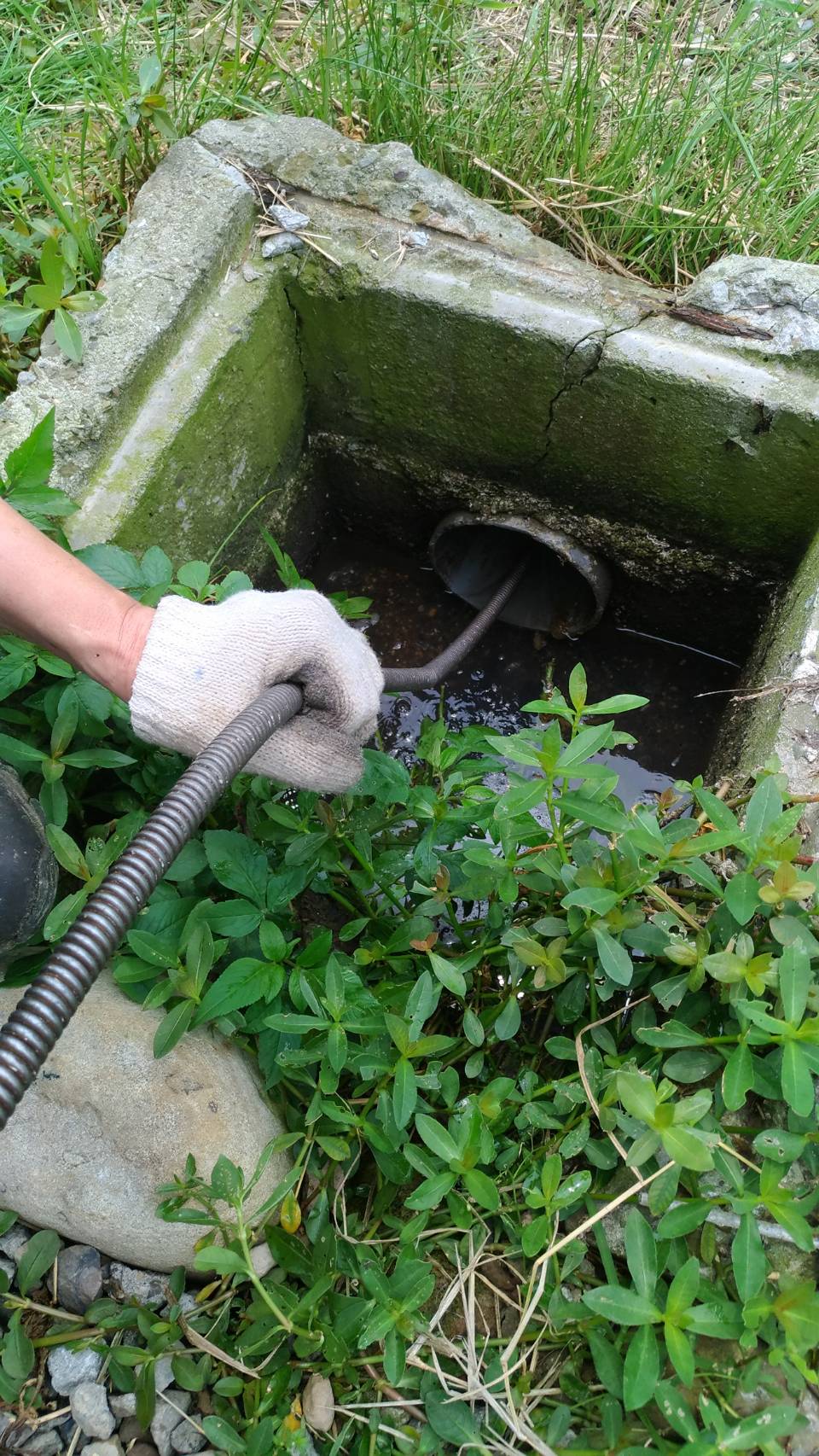 整排住家共用排水管阻塞