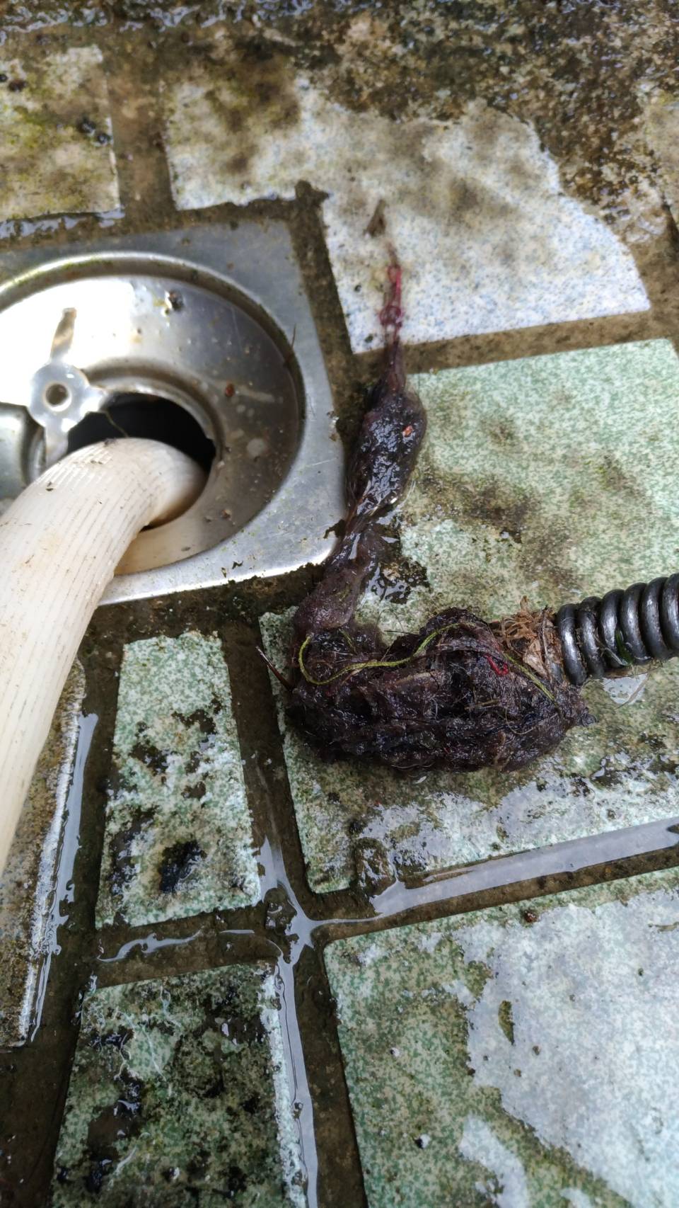 挖出毛髮阻塞物,水管包通