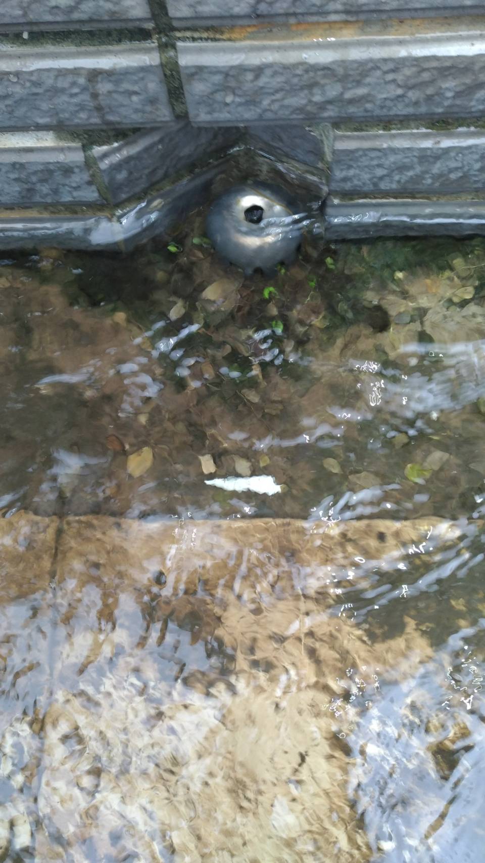 頂樓陽台排水管不通