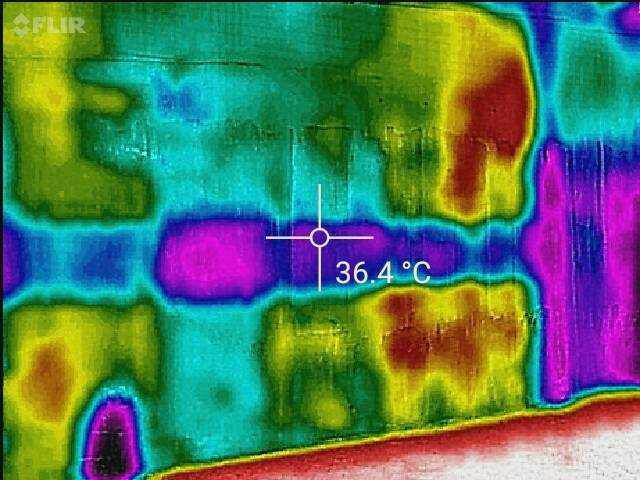 熱顯像抓漏工程