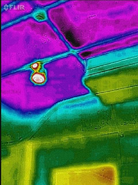 熱顯像天花板漏水