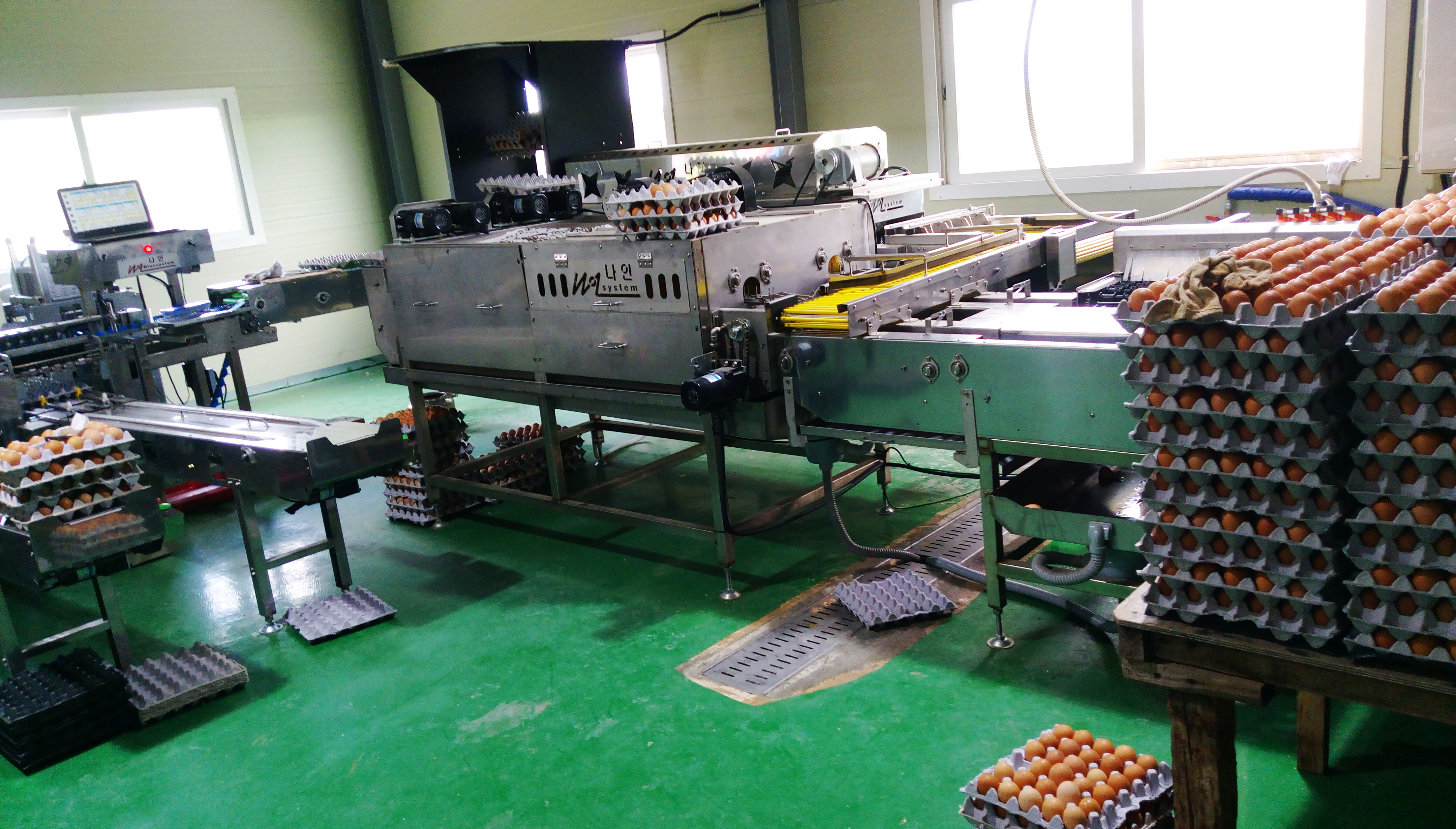 TGW-11K&nbsp;蛋品清洗分級設備